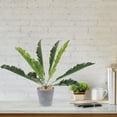 thumbnail image 5 of HORIALENCE 2Pcs Artificial Plants Snake for Indoor Decoration Classic Style Potted Plants, 5 of 8