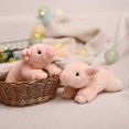 thumbnail image 4 of Cute Soft Lucky Pig Doll - Ideal Home Decoration Gift for Any Age, 4 of 5