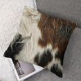thumbnail image 7 of BANET Set of 2 Throw Pillow Covers, for Home Living Room Decor, Reversible Western Animal Skin Decorative Throw , 12x12in, 7 of 7