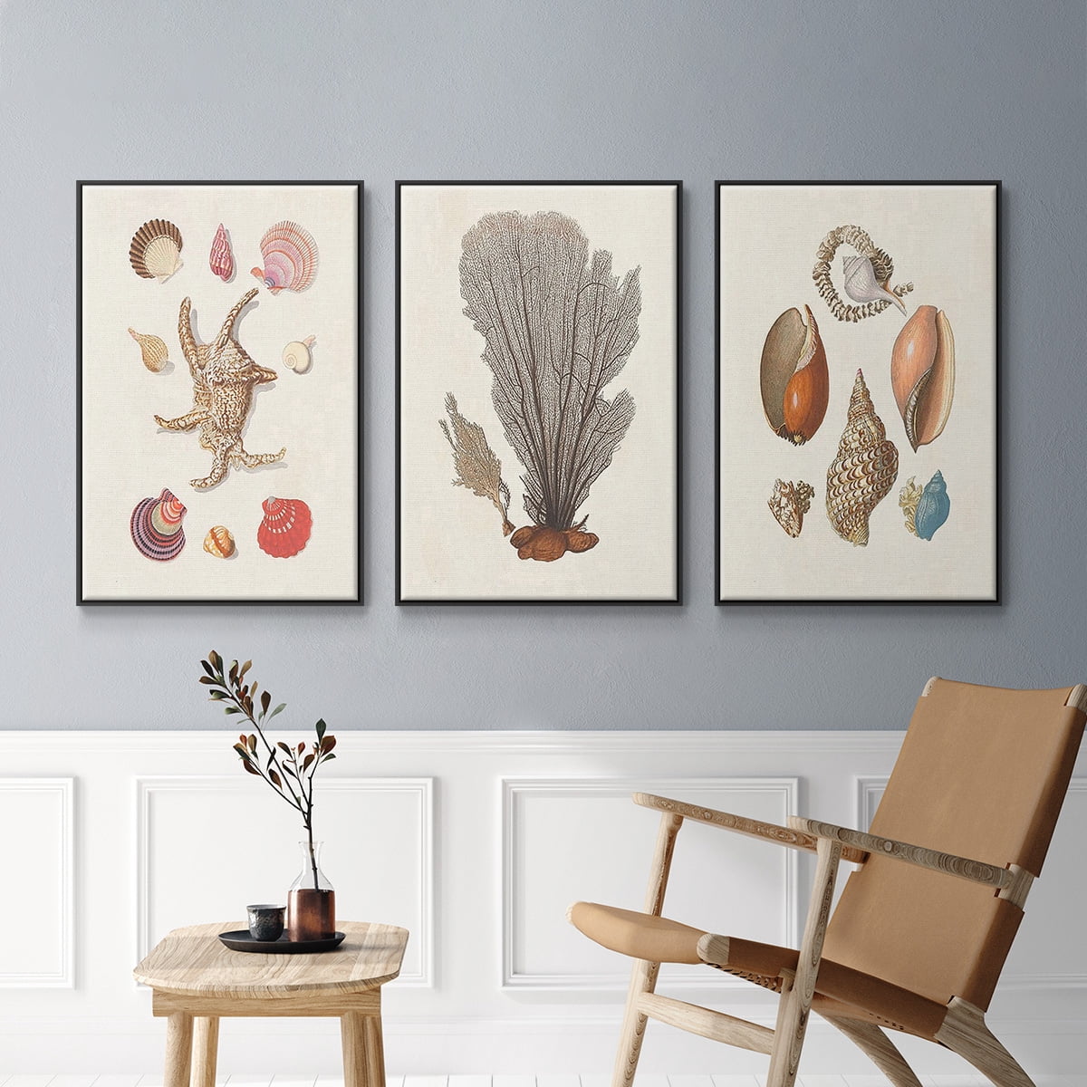Knorr Shells & Coral I - Framed Premium Gallery Wrapped Canvas L Frame 3 Piece Set - Ready to Hang