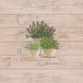 thumbnail image 3 of Ancilotti, Claudia 12x12 Black Modern Framed Museum Art Print Titled - Herbes de Provence, 3 of 5