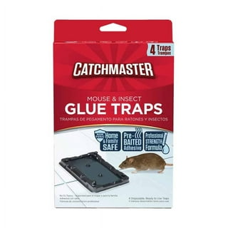  40 Pcs Baited Mouse Trap, Glue Traps, Adhesive Rat