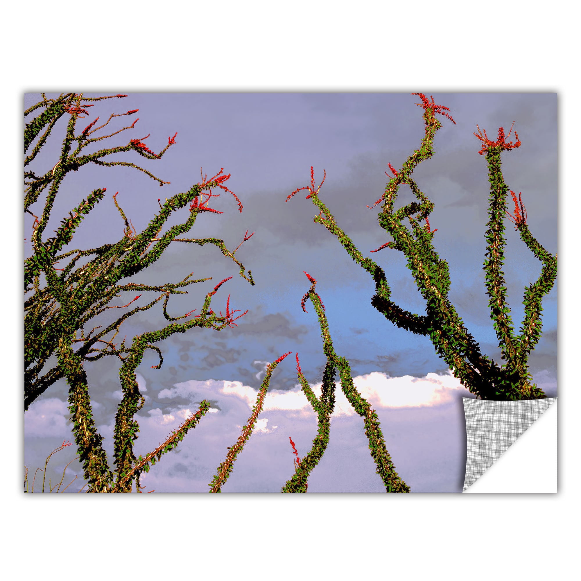 Dean Uhlinger Yuma Desert Spring, Art Appeelz Removable Wall Art Graphic