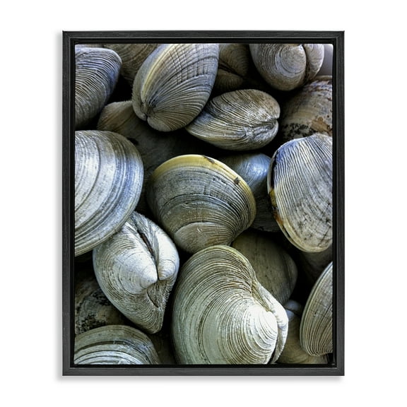 Stupell Industries Maritime Clams Pile Nautical & Beach Photography Black Floater Framed Canvas Art Print Wall Art, 17 x 21