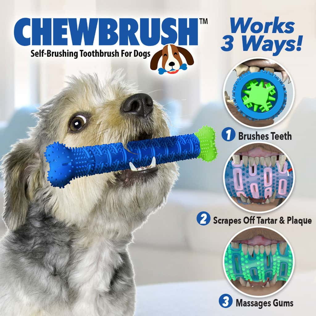 chew brush as seen on tv