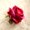 E, variant on Artificial Flowers Wedding Decor Outdoor & Home Floral Separate Silk Artificial Rose Flower Heads, Loose Bulk Bloom for Wedding DIY Bouquet Vase Centerpiece Decor