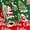Green - Santa and Sleigh, variant on Christmas Wrapping Paper, Pink Santa Claus Design Gift Wrapping Paper Suitable for Christmas, Mini Roll (17 Inch X 32.8 Feet)