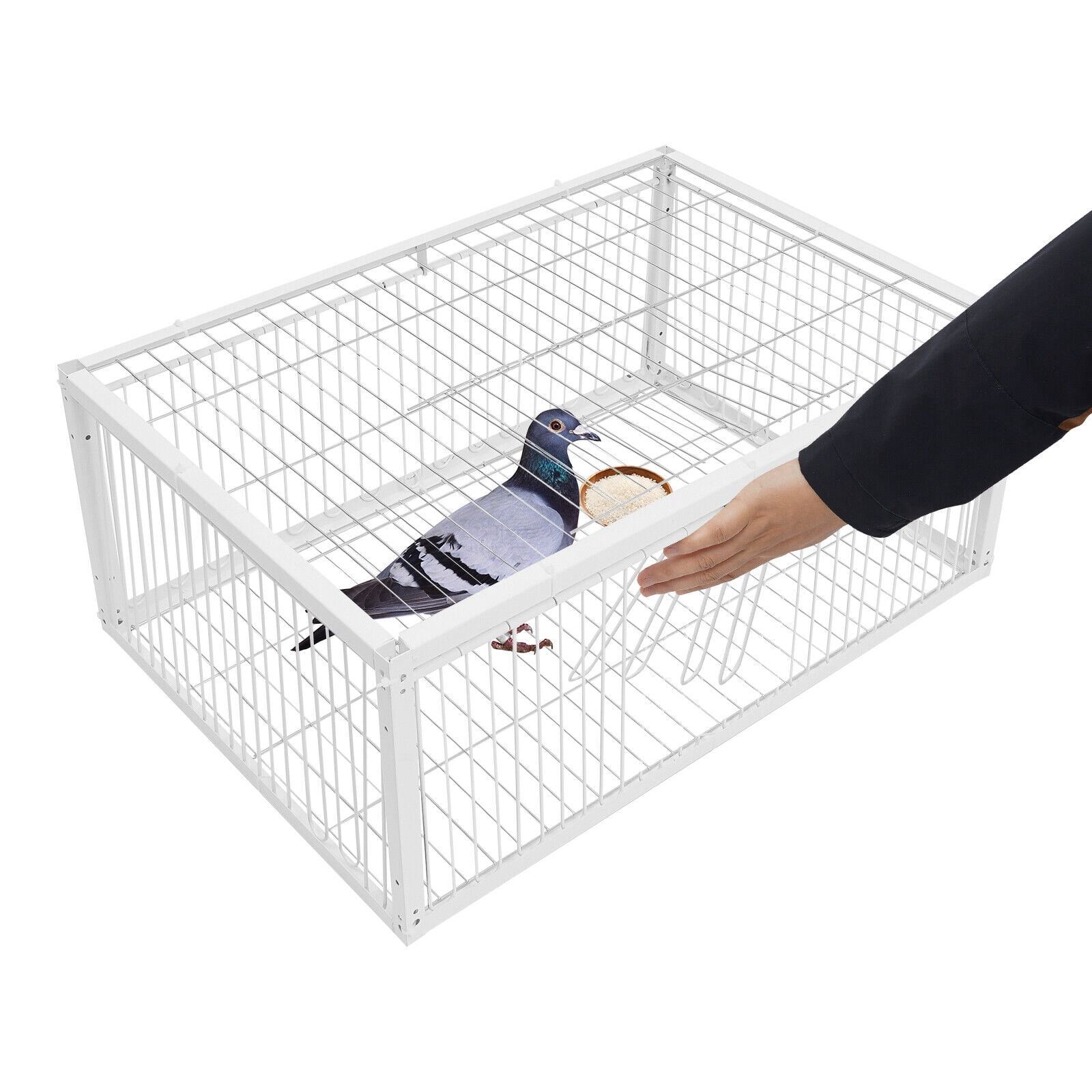4 Holes Iron Quail Feeder Pigeon Dove Bird Outside Of Cage with One-Way Entry