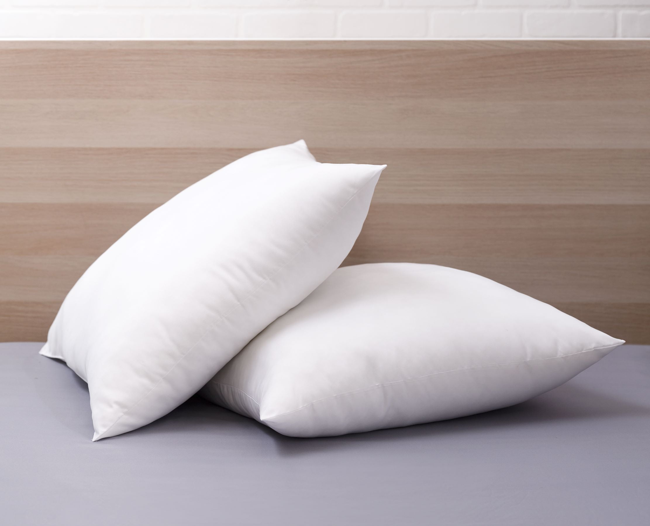 Cozy Clouds Big and Lofty Euro Pillow - Set of 2
