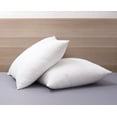 thumbnail image 3 of Cozy Clouds Big and Lofty Euro Pillow - Set of 2, 3 of 5
