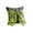 C #2, variant on ZZAIXHL 1Pcs Ghost Spiderweb Halloween Decorations Indoor Throw Pillow Cases Standard Size 18x18 Double Sided Print Pattern with 3D Bow 4 Styles to Choose