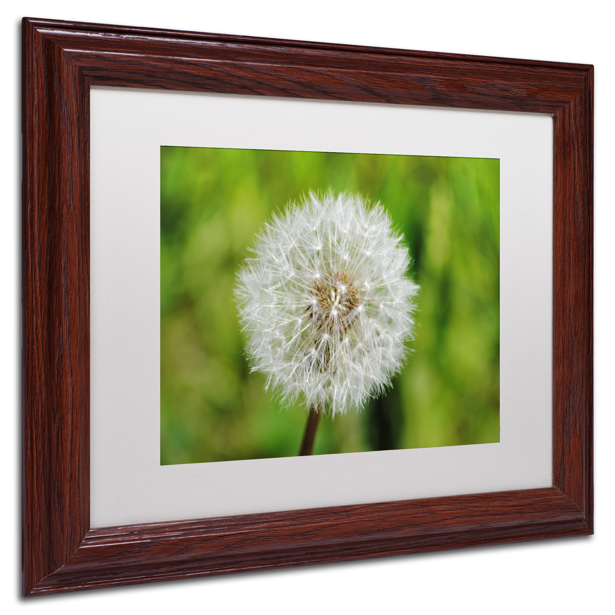 Trademark Fine Art "Make a Wish" Canvas Art by Monica Mize, White Matte, Wood Frame