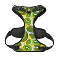 thumbnail image 5 of Lsque Watercolor Kiwi Fruits Summer Dog Harness, No-Pull Pet Harness with 2 Leash Clips, Adjustable Soft Padded Dog Vest with Easy Control Handle for Large Dogs-, 5 of 9