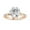 Rose Gold, variant on Hidden Halo Solitaire Engagement Ring for Women, Center 2.80 Ct Round Cut Lab Grown Diamond Ring In 14K White Gold Over Sterling Silver F-G-H, SI Quality Ring Size-5