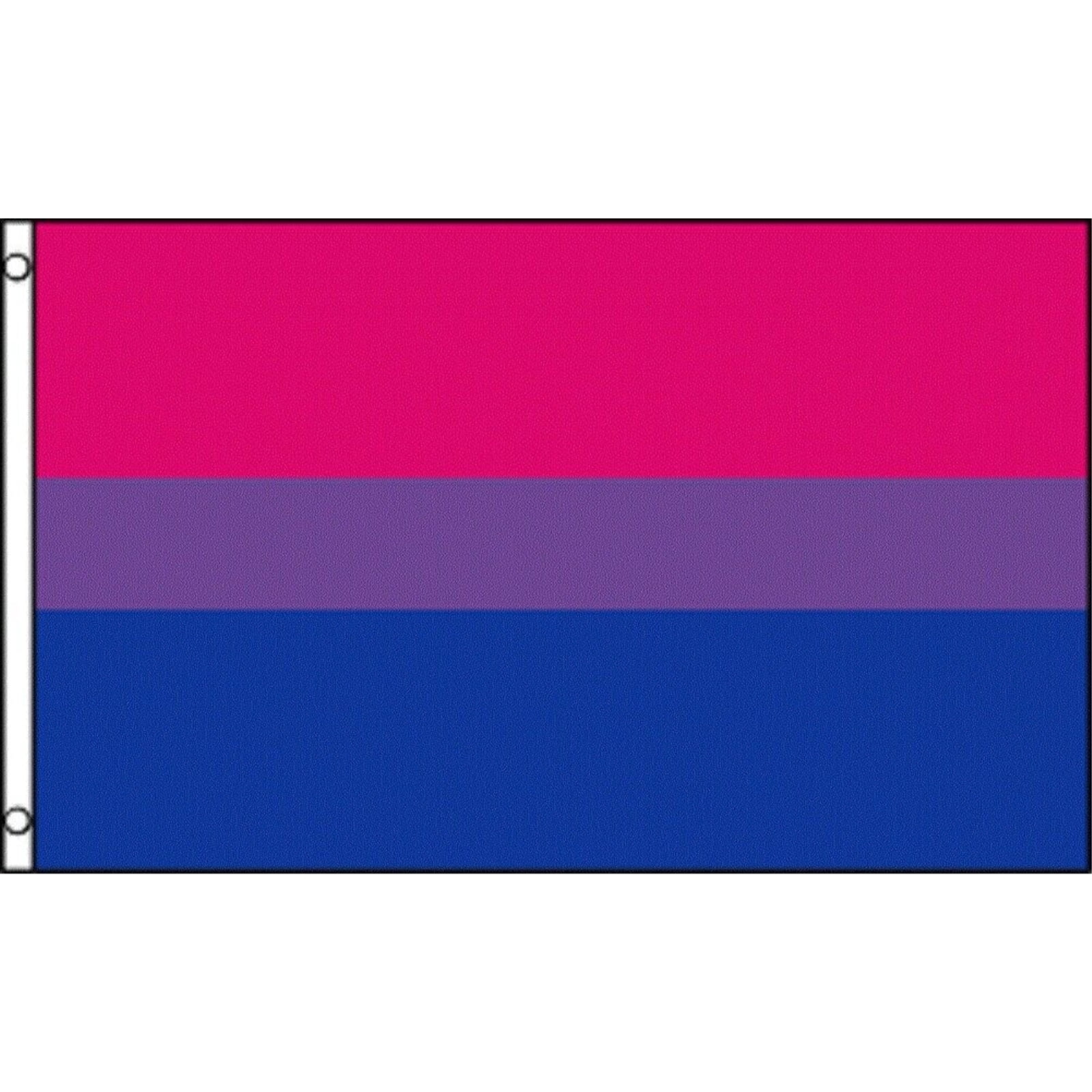 Bi Pride Flag Bisexual Banner Gay Lesbian LGBT 3x5 Rainbow Festival Pennant