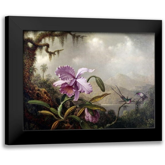Heade, Martin Johnson 14x11 Black Modern Framed Museum Art Print Titled - Hummingbirds and Orchids