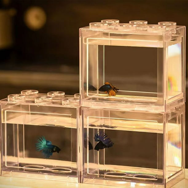 Petit Poisson Betta, Aquarium Portable Transparent Facile à Changer D'eau Pour  Crevettes Pour Très Transparent 