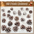 thumbnail image 3 of 25 Piñas de Pino Naturales de Navidad a Granel XCF Adorno Colgante 1,6 a 2 Pulgadas, 3 of 4