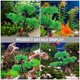thumbnail image 4 of LOLIPPYY Planta Artificial Para Decorar Y Peces, 4 of 6