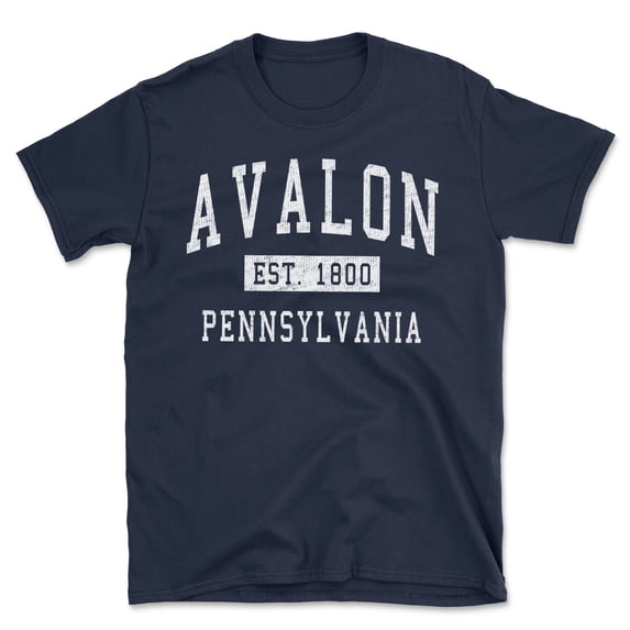 Avalon Pennsylvania Classic Established Men's Cotton T-Shirt
