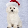 thumbnail image 2 of CafePress - Bichon Frise Christmas - Cute Infant Baby Football Bodysuit, 2 of 3