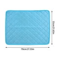 Summer Pet Mat Can Be Washed With Water And Feels Cool. Pet Mat Is