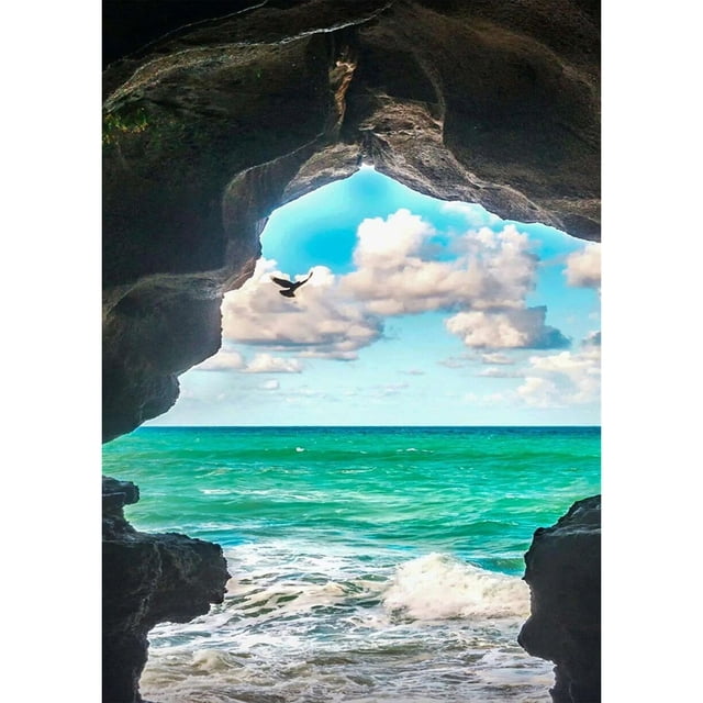 Pintura de diamante (DE1593) Gaviota cuadrada 5D DIY Mosaico Wall Art Pictures 40x50cm Hugtrwg Para estrenar