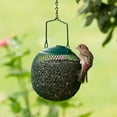 thumbnail image 3 of Perky-Pet Squirrel Proof Wild Seed Ball Bird Feeder, 1.12 lb, Green, 3 of 5