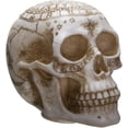 thumbnail image 4 of Wicca Astrology Zodiac Skull LED Night Light Statue With USB Charging Wood Base, 4 of 7