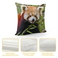 thumbnail image 4 of GOSMITH  Throw Pillow Cover Red Panda Lesser Panda Red Bear-Cat Red Cat-Bear 1, 4 of 5