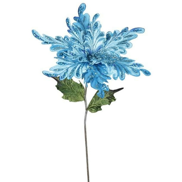 Souche de Fleur de Poinsettia Bleu Ciel&44; 15 Po.