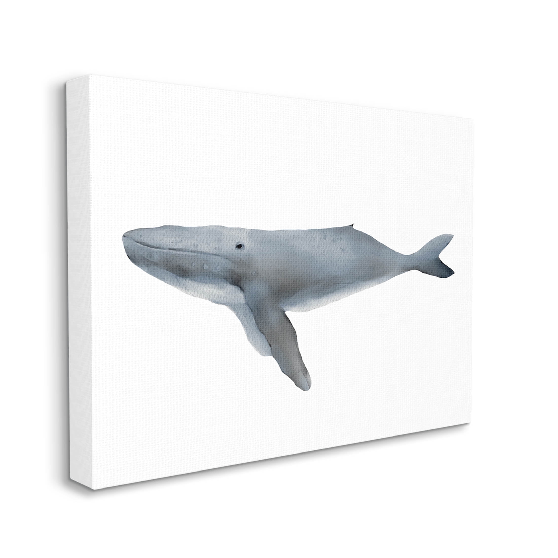 Stupell Industries Marine Whale Casual Sea Life Graphic Art Gallery Wrapped Canvas Print Wall Art, Design by Leah Straatsma