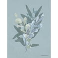 thumbnail image 3 of Bluebird Barn 15x18 Black Modern Framed Museum Art Print Titled - Watercolor Greenery Series Medium Teal II, 3 of 5