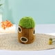 thumbnail image 4 of Lindo juguete de rompecabezas para perros chirriante de peluche interactivo para cachorros Juguetes Árbol pequeño 1 agujero árbol 1 hoyo, 4 of 6