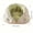 Green-S-18.9*17.72inch, variant on Wrap-Around Cat Bed, Soft Long Plush Artificial Fur Cushion, Fluffy Cozy Nest for Small, Medium and Large Cats, Ergonomic Wraparound Design for Relaxation and Comfort