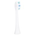 thumbnail image 3 of Cabezales de Cepillo de Dientes de Repuesto Cabezal de Cepillo de Dientes Eléctrico Accesorio de Cabezal de Repuesto de Cepillo de Dientes Sónico de Limpieza para ANGGREK Otros, 3 of 8