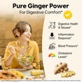 thumbnail image 2 of Mason Natural Whole Herb Ginger 500 mg, Natural Herbal Supplement, 60 Capsules, 2 of 7