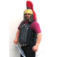 thumbnail image 1 of INDIA OVERSEAS TRADING CORP Faux Leather Armor, 1 of 1