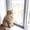 Grey Mesh / Black Fixings, variant on Flat Cats Window protection for Cats Grey Mesh White Fixings Two Pack