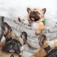 thumbnail image 3 of Naloa Cute Bulldogs Apply Dog Blanket, 3 Sizes Cat Blanket for Indoor Cats Large Medium Small Dog Gifts-Small, 3 of 8