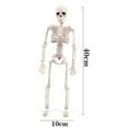 thumbnail image 3 of Halloween Skeleton Decorations Groom Bride Bones Props Decor Abstract Artwork Teaching Tool - White, 3 of 6