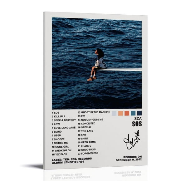 YELLOWV Sza Poster Sos Album Cover Posters for Room Aesthetic Canvas Wall Art Bedroom Decor 08x12inch(20x30cm)
