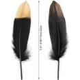 thumbnail image 4 of 40PCS Gold Dipped Black Feathers, 5.9-8.7 inch Feathers for DIY Crafts Wedding Halloween Costume Party Decorations Dream Catcher Supplies, 4 of 7