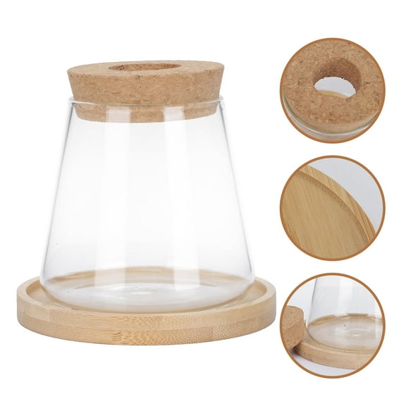 HEMOTON Large Glass Vase Table Decoration Office 9x8.5cm Brown