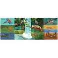 thumbnail image 7 of Hidden World: Animals (Hardcover), 7 of 7