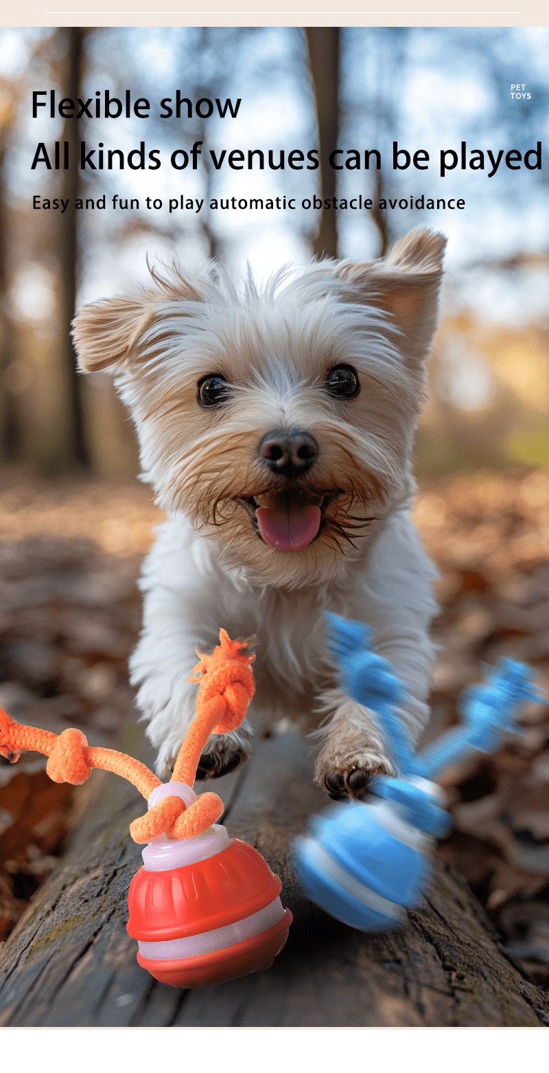 Interactive Dog Toys Ball, Fun Moving Motion Activated Dog Ball Toys to Keep Them Busy, Rechargeable Smart Automatic Rolling Dog Ball for Small Puppy Dogs