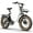 White, variant on U05 Electric Bike for Adults, 1500W Peak Motor, 48V 13Ah Removable Battery, 28MPH, 20x4 Fat Tire City Ebike, UL2849 Certified Commuting Ebike,Black