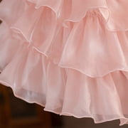 Kids Pink Dress for Girls Ruffle Sleeveless Tulle Flower Girl Dress Rainbow Tutu Princess Skirt Princess Dress Up for Girls 3-4 Years