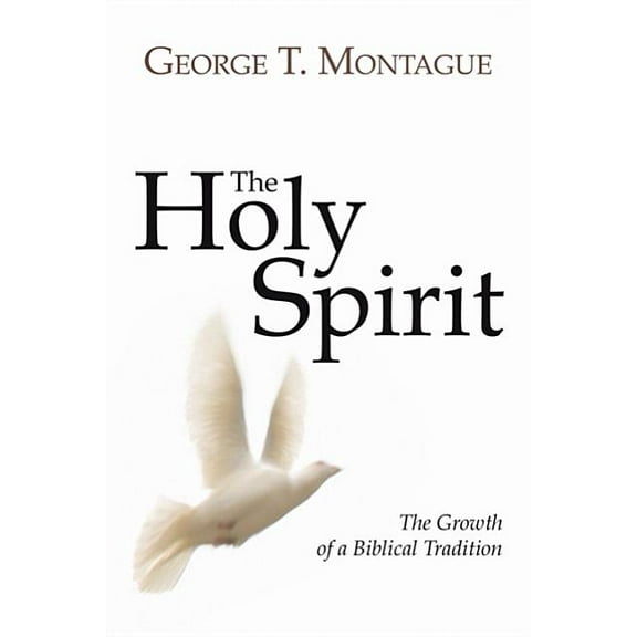 The Holy Spirit (Paperback)