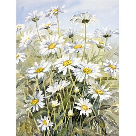 Daisies by Bettie Cheesman Flag Garden Size